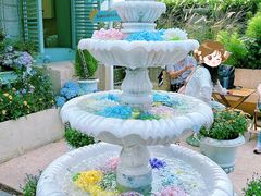 -苏小糖(鼓浪屿三丘田花园店)