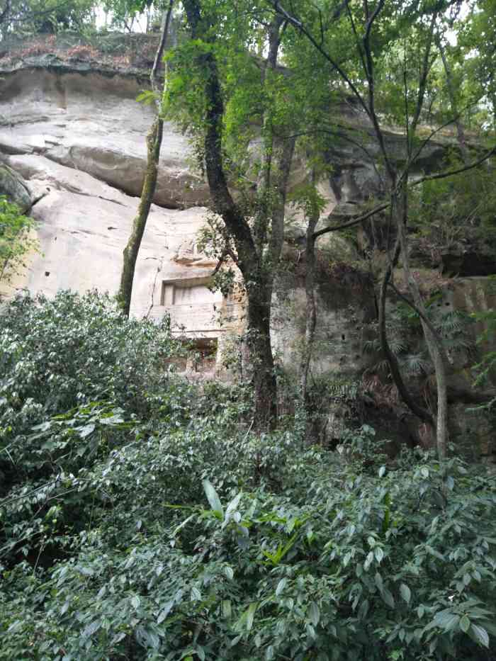 金城山生态旅游度假区-"去过最多的景区就是金城山了.路比较陡,山.