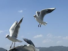 -海埂大坝