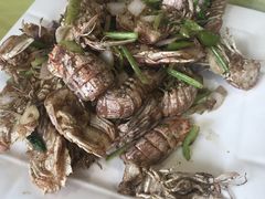 -华圆美食-老蓬莱菜(蓬港路店)