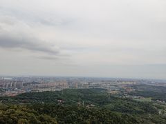 -天花井景区