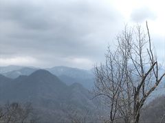 -黑河国家森林公园