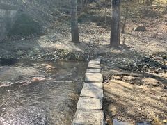 -白水寺森林公园