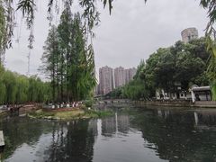 -温江公园