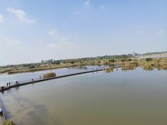 -盐城丹顶鹤湿地生态旅游区