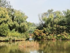 -翠湖国家城市湿地公园