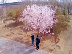 -永定河休闲森林公园