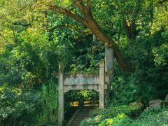 -忠山公园