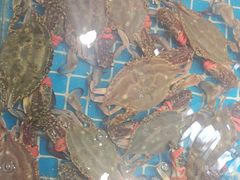 -和源祥·日照菜扛把子(万平口一店)