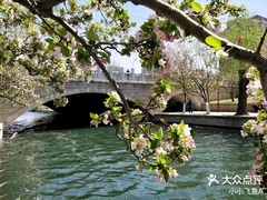 -海棠花溪(元大都城垣遗址公园)
