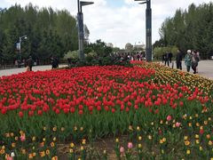 -长春公园(普阳街道)