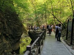 -牛背梁国家森林公园
