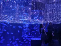 -哈尔滨波塞冬海底世界