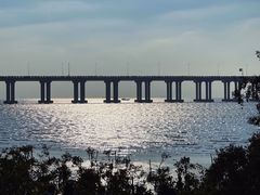 -宝安西湾红树林湿地公园