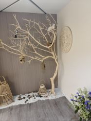 -悦尚生活空间•瑜伽普拉提•悦心芳香疗愈SPA