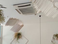 -春树下·树屋花房西餐厅(罍街AS1980店)