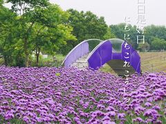 -上海杨姆庄园