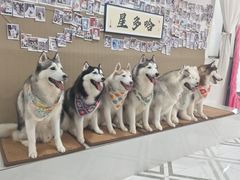 -星多哈·狗咖·拼豆·咖啡