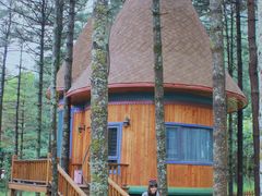 -洛阳白云山景区