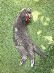 -EasyLady美甲沙龙