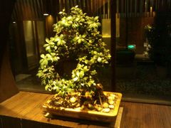 android_upload_pic-粗茶淡饭·隐庐私厨(东亭店)