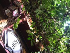 -飘香酒馆·私房菜