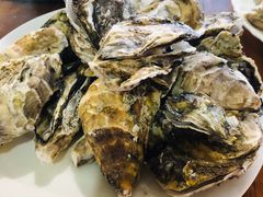 -罗源湾8号渔排