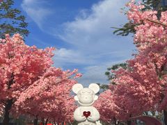 -东莞松山湖万象汇