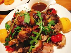 -百好乐宠物友好餐厅(朝外大街店)