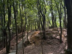 -火炉山森林公园