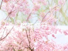 -新江湾城公园