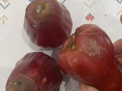 -金鸡岭农贸市场
