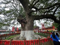 -新安江山水画廊风景区