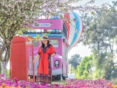 -铁山坪森林公园