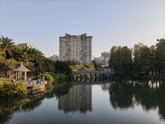 -四海公园(南山区)