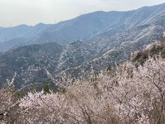 -北京鹫峰国家森林公园