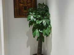 -Angkor SPA 柬埔寨古法按摩(环贸店)