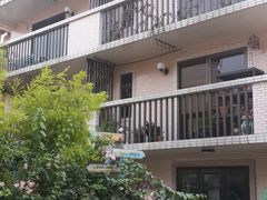 -南丫岛