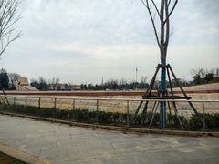 -盘龙城国家考古遗址公园