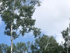 -塞罕坝国家级自然保护区