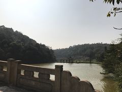 -李小龙乐园(顺德均安店)