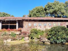 -中国茶叶博物馆(双峰馆区)