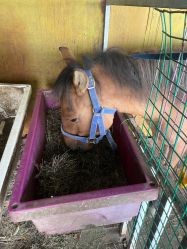 -小蜜蜂农场(凯德七宝购物广场店)