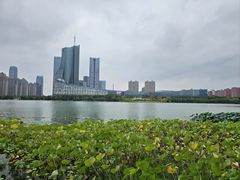 -天鹅湖体育公园