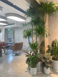 点击看大图 -P.STYLE 派斯造型