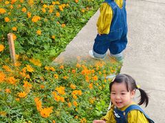 -前小桔亲子创意农场·草莓采摘·露营烧烤