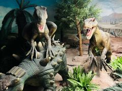 -国家自然博物馆