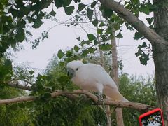 -丁香湖公园