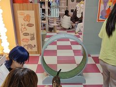 -猫宠乐园·专业洗护