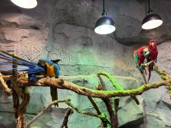 -Zoolung Zoolung动物主题公园(海信广场店)